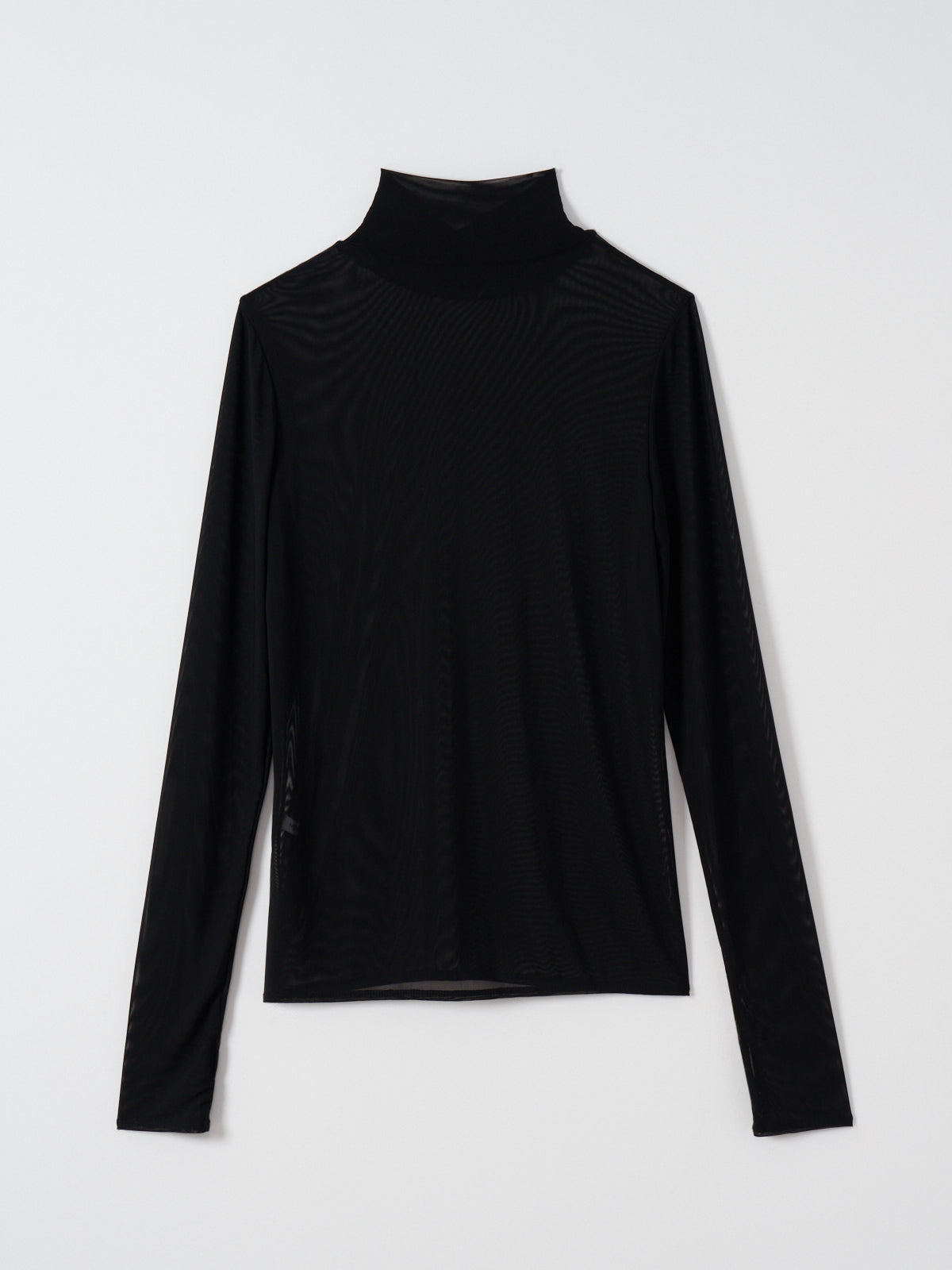 550401 sheer turtle T